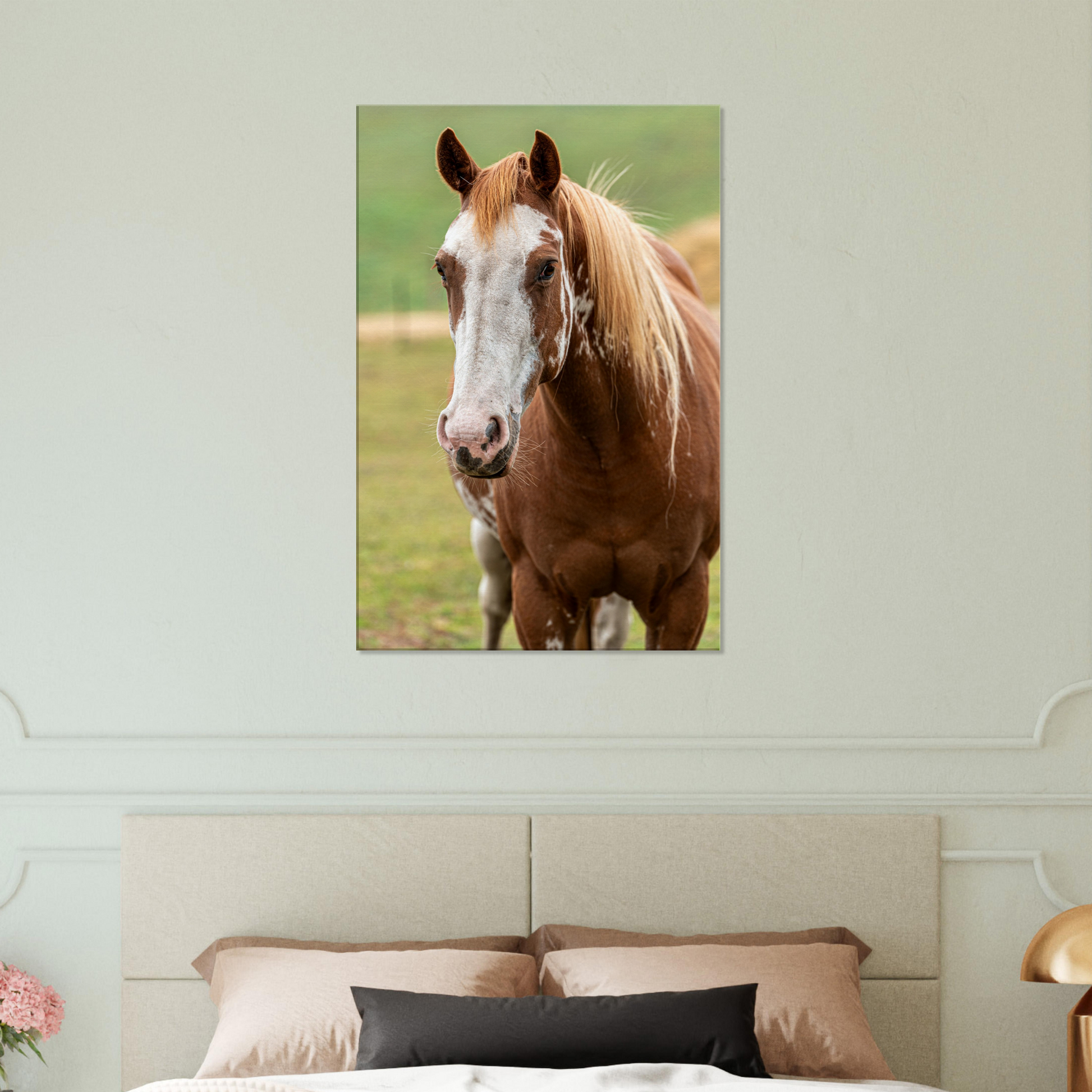 Physical Print of farm animal - horse by Istvan Maar Photography