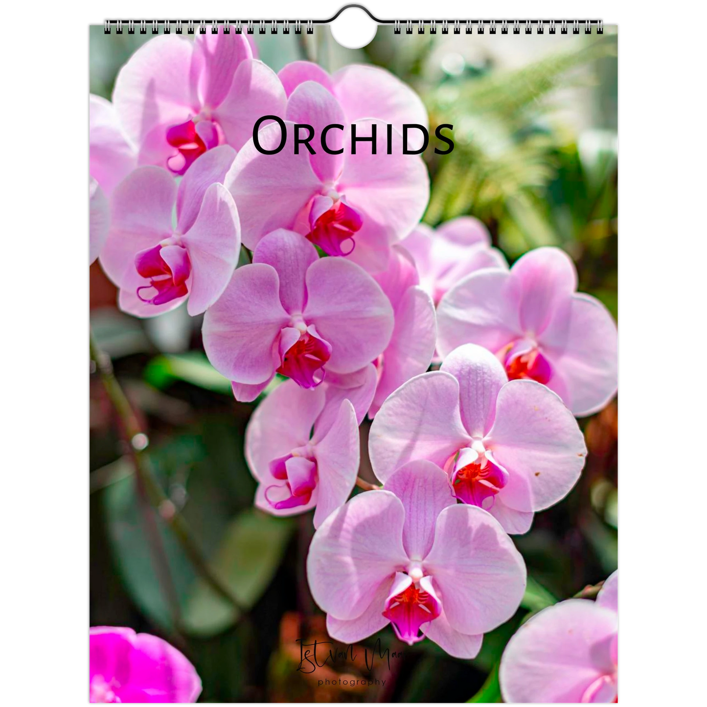 A hanging wall calendar cover featuring a close-up photograph of pink orchids with the word 'Orchids' printed across the top. The calendar has a spiral binding hole at the top and a small hanger loop.