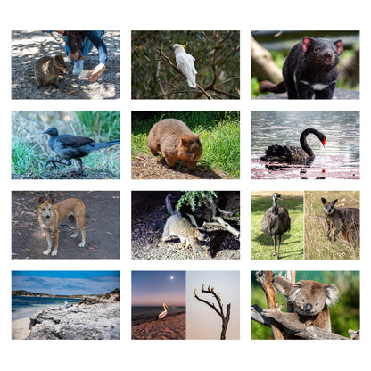 Photos of Australian Wildlife Wall calendar by Istvan Maar Photography - Cover