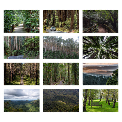 2027 Forests Wall Calendar | 2824 Istvan Maar Photography