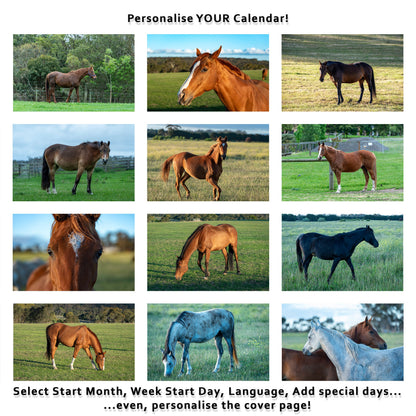 2027 Horses Wall Calendar | 2654 Istvan Maar Photography