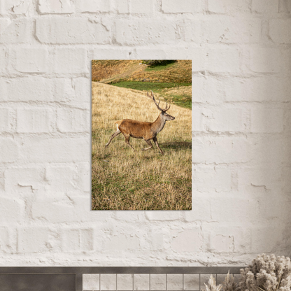 	
Deer Wildlife Animals Art Nursery Photography Wall Decor Kids Room Poster Playroom Artwork Stag Stretched Canvas 215