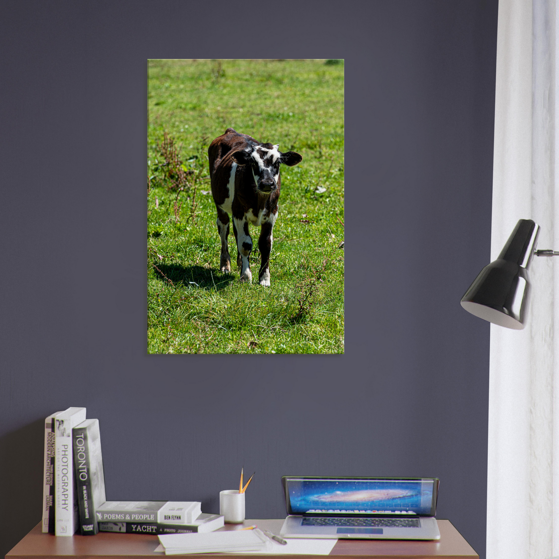 Cute calf Domestic Animal Canvas Wall Art Photography, Nursery Print, Nursery Animal Wall Decor, Kids Room, Prints, Stretched canvas by Istvan Maar Photography mockup 48