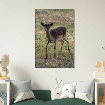 	
Deer Wildlife Animals Art Nursery Photography Wall Decor Kids Room Poster Playroom Artwork Stag Stretched Canvas 146