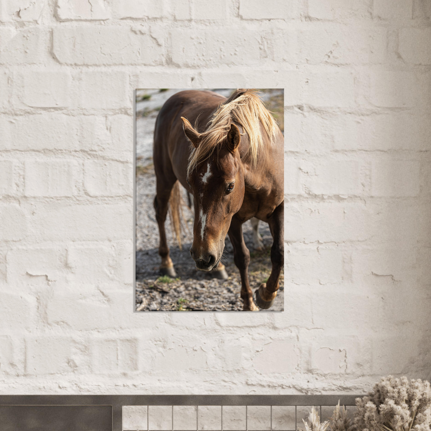 Horse Farm Animal Canvas by Istvan Maar Photography