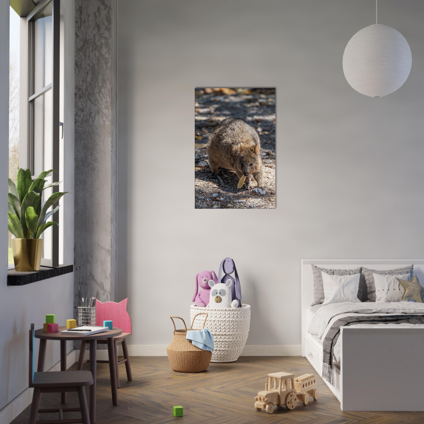 Cute Australian Animal Quokka Canvas by Istvan Maar Photography home décor