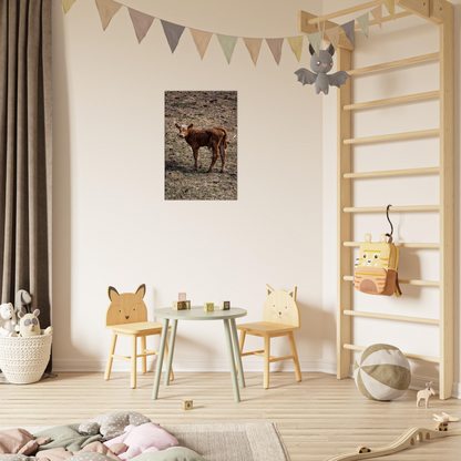 Cute calf Domestic Animal Canvas Wall Art Photography, Nursery Print, Nursery Animal Wall Decor, Kids Room, Prints, Stretched canvas by Istvan Maar Photography mockup 16