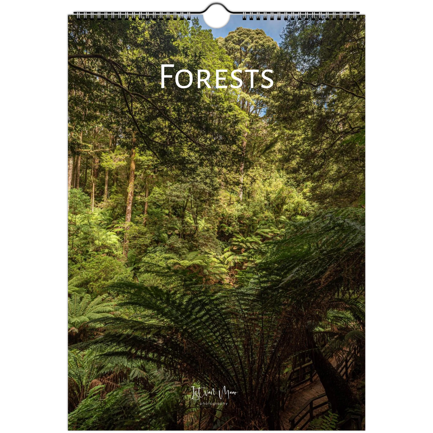A spiral-bound wall calendar titled 'FORESTS' featuring a lush green forest scene with ferns and tall trees. The calendar is shown against a plain white background.