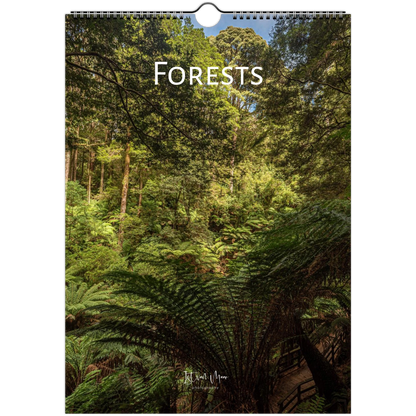 A spiral-bound wall calendar titled 'FORESTS' featuring a lush green forest scene with ferns and tall trees. The calendar is shown against a plain white background.