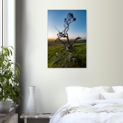 Twisted tree in sunset on canvas by Istvan Maar Photography - bedroom