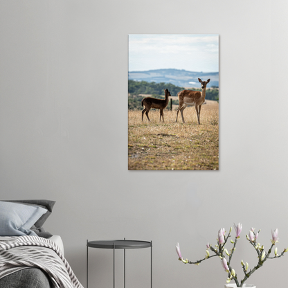 	
Deer Wildlife Animals Art Nursery Photography Wall Decor Kids Room Poster Playroom Artwork Stag Stretched Canvas 087