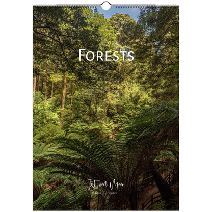 2027 Forests Wall Calendar - front cover featuring forest photography by Istvan Maar