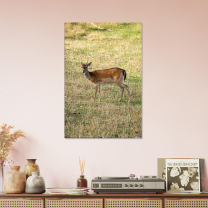 	
Deer Wildlife Animals Art Nursery Photography Wall Decor Kids Room Poster Playroom Artwork Stag Stretched Canvas 168