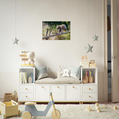 Cute Native Australian Animals Nursery Koala Canvas by Istvan Maar Photography - nursery