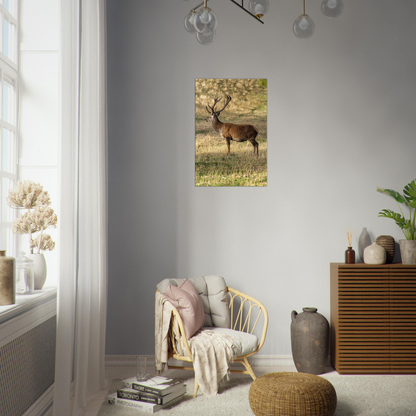 	
Deer Wildlife Animals Art Nursery Photography Wall Decor Kids Room Poster Playroom Artwork Stag Stretched Canvas 062