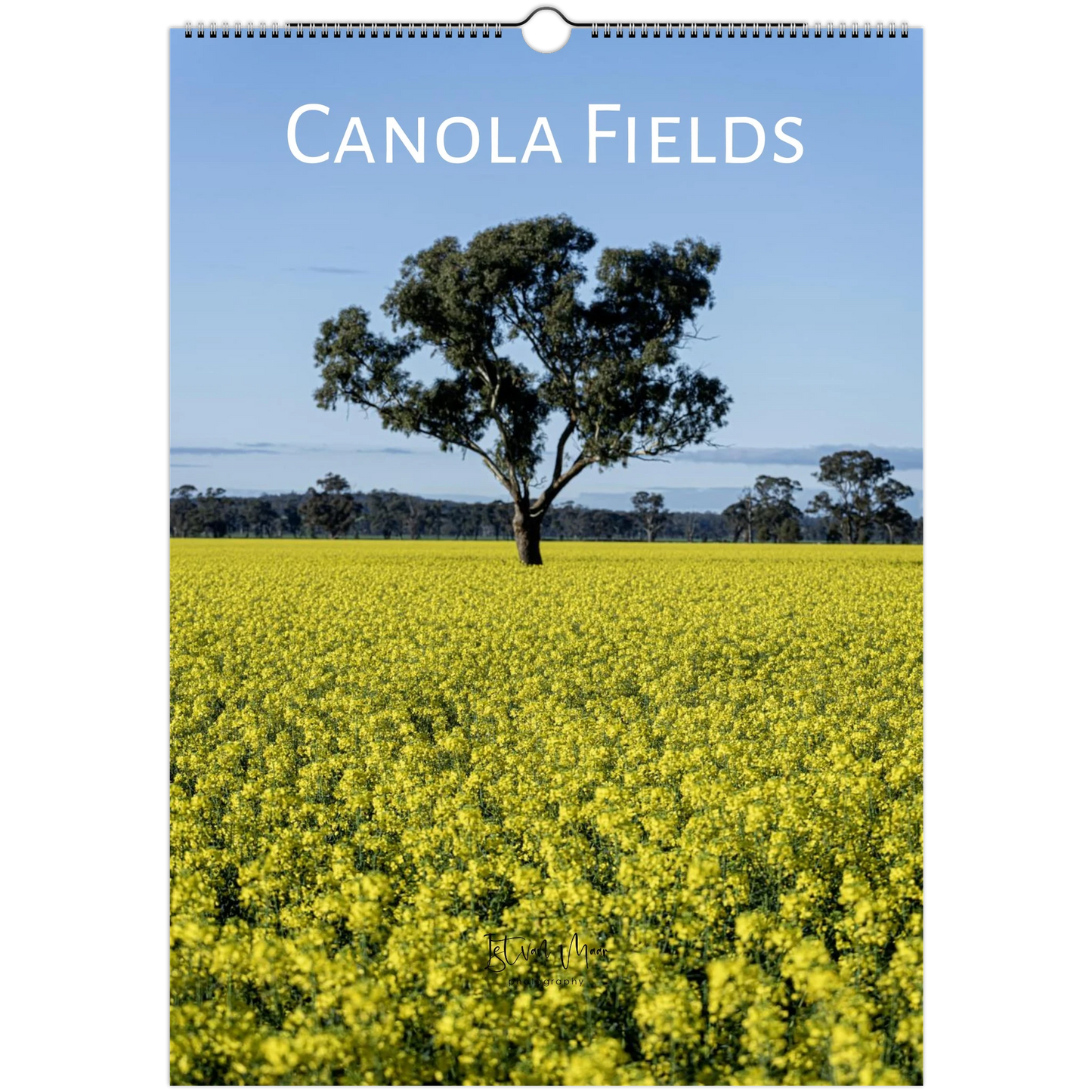 A spiral-bound wall calendar page showing a canola field with a single tree under a blue sky, with the title 'CANOLA FIELDS' printed at the top.