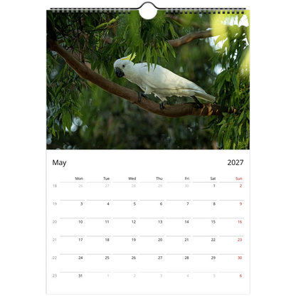 Cockatoos Wall Calendar – photography detail of cockatoos in natural habitat