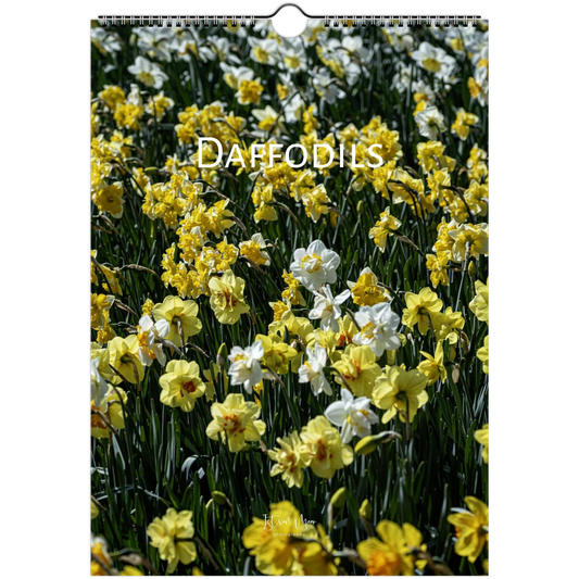 627d9199-854d-47a9-aea2-a875ff803b8d