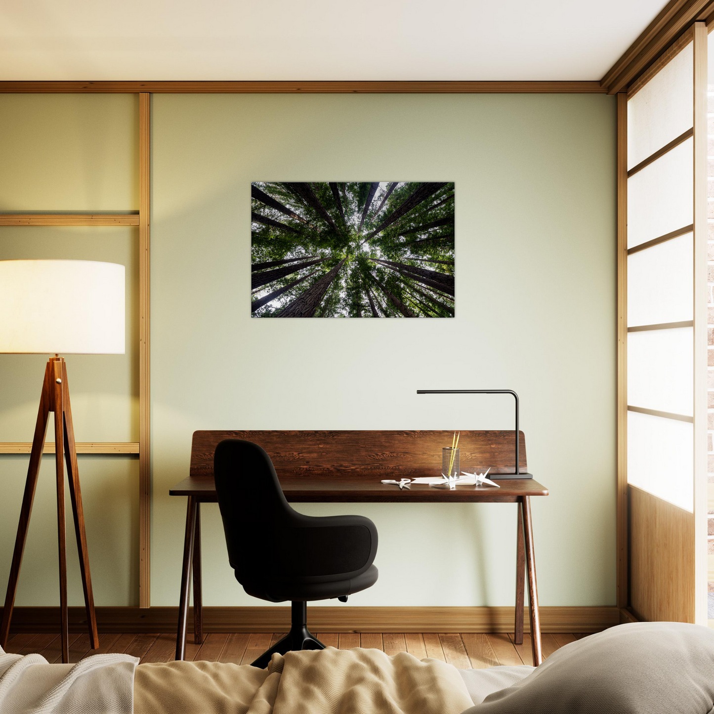 Redwood forest photo canvas by Istvan Maar Photography - teen's room