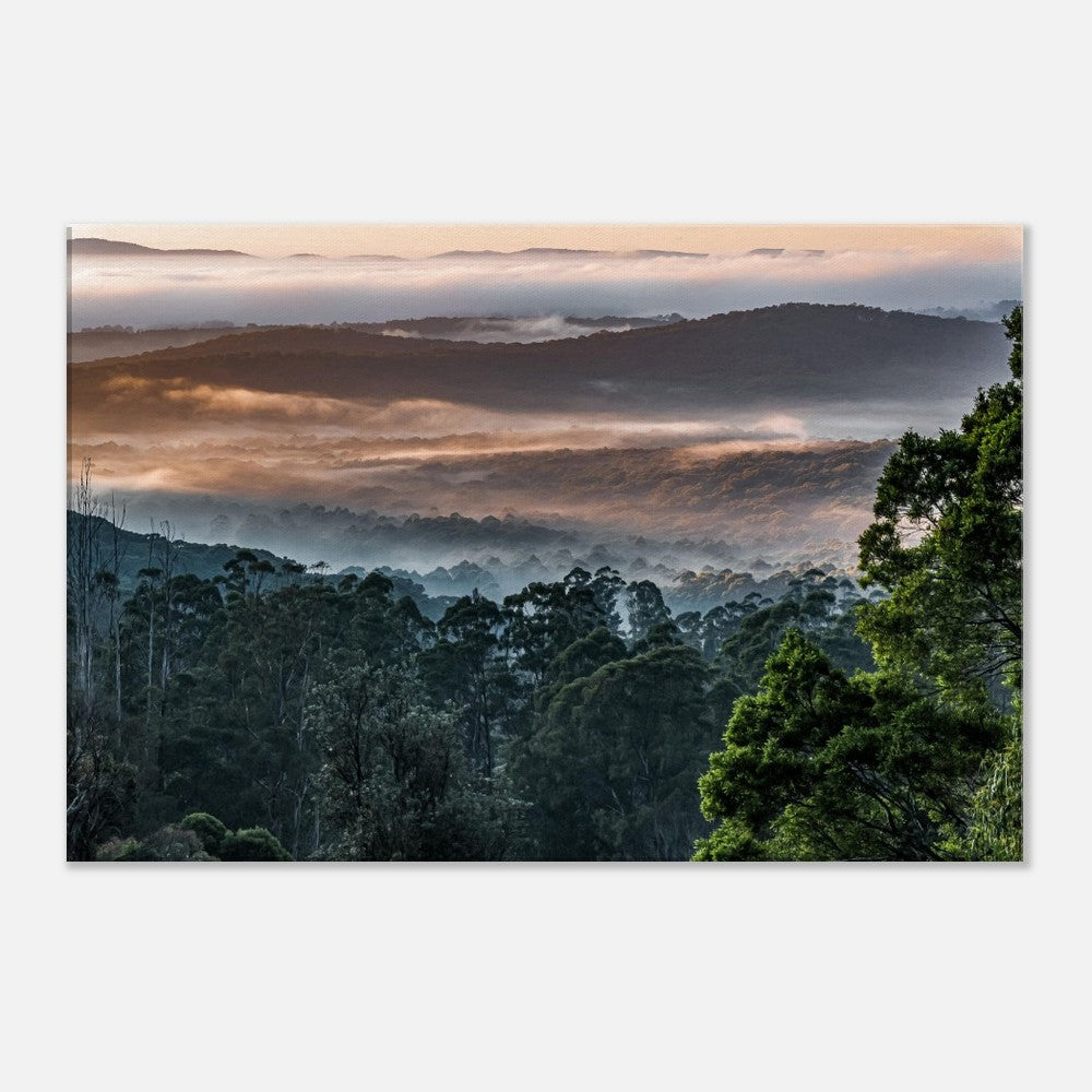 Misty Mountain Ash Foggy Forest Canvas - Close up - by Istvan Maar Photography