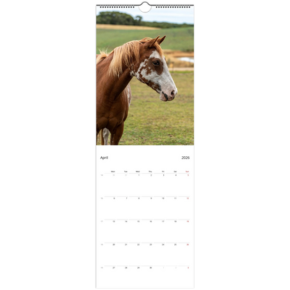 Horses Slim Wall Calendar – photography detail of horses in natural setting