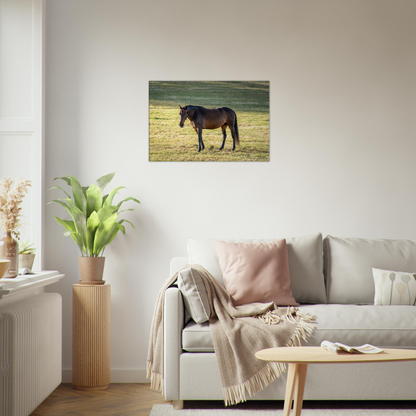 Horse Photo Canvas Wall Art by Istvan Maar Photography