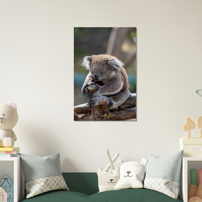 Cute koala sits on the tree - by Istvan Maar Photography - kids room