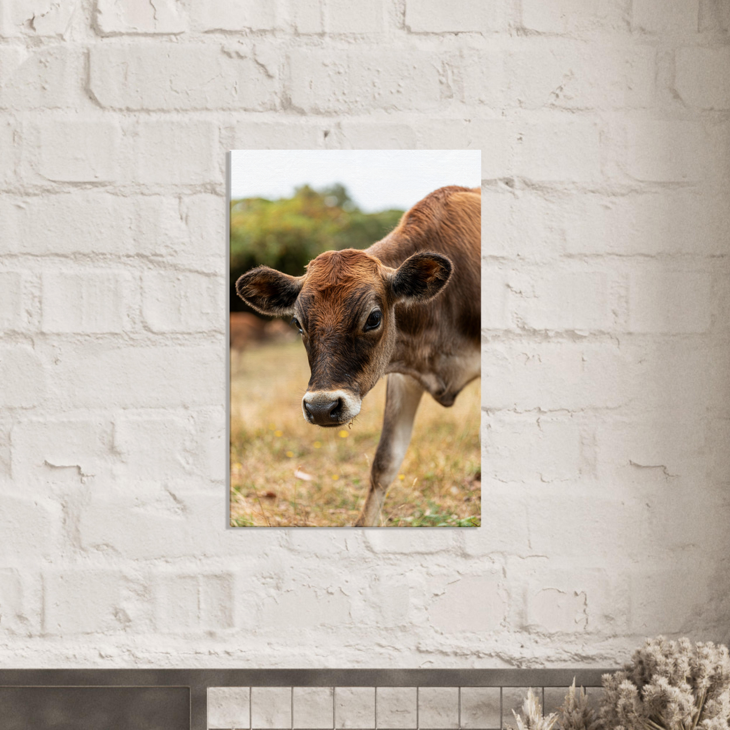 Cute calf Domestic Animal Canvas Wall Art Photography, Nursery Print, Nursery Animal Wall Decor, Kids Room, Prints, Stretched canvas by Istvan Maar Photography mockup 22