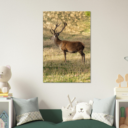 	
Deer Wildlife Animals Art Nursery Photography Wall Decor Kids Room Poster Playroom Artwork Stag Stretched Canvas 063