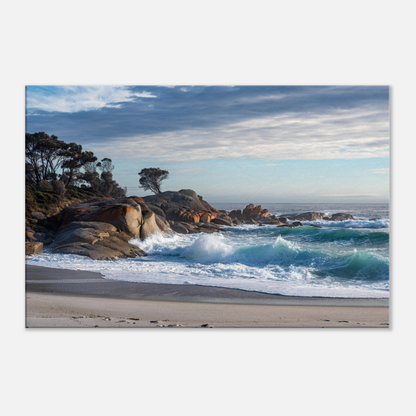 Tasmanian Coastal Canvas by Istvan Maar Photography - close-up