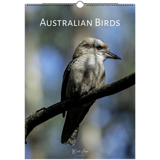 Calendar cover featuring an Australian bird on a branch with 'Australian Birds' text.