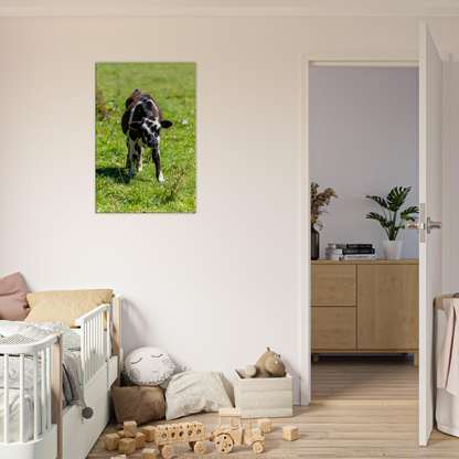 Cute calf Domestic Animal Canvas Wall Art Photography, Nursery Print, Nursery Animal Wall Decor, Kids Room, Prints, Stretched canvas by Istvan Maar Photography mockup 31