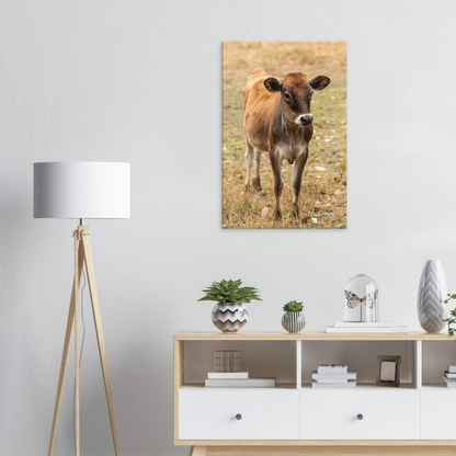 Cute calf Domestic Animal Canvas Wall Art Photography, Nursery Print, Nursery Animal Wall Decor, Kids Room, Prints, Stretched canvas by Istvan Maar Photography mockup 58