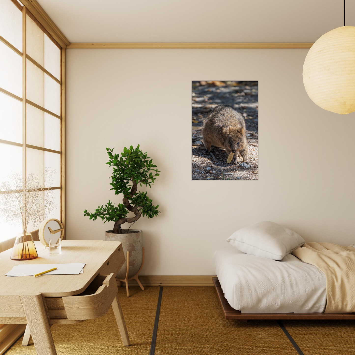 Cute Australian Animal Quokka Canvas by Istvan Maar Photography home décor