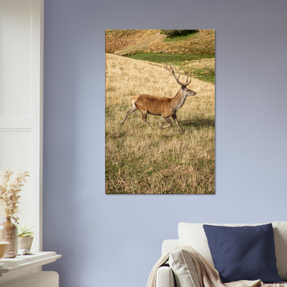 	
Deer Wildlife Animals Art Nursery Photography Wall Decor Kids Room Poster Playroom Artwork Stag Stretched Canvas 205