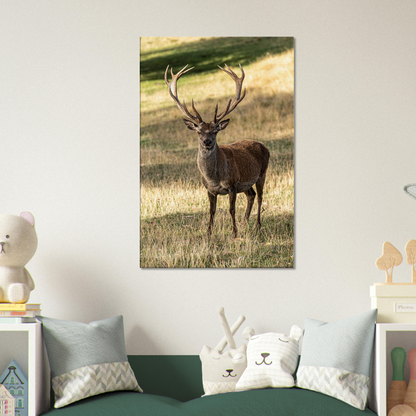 	
Deer Wildlife Animals Art Nursery Photography Wall Decor Kids Room Poster Playroom Artwork Stag Stretched Canvas 047