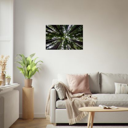 Redwood forest photo canvas by Istvan Maar Photography - with large sofa