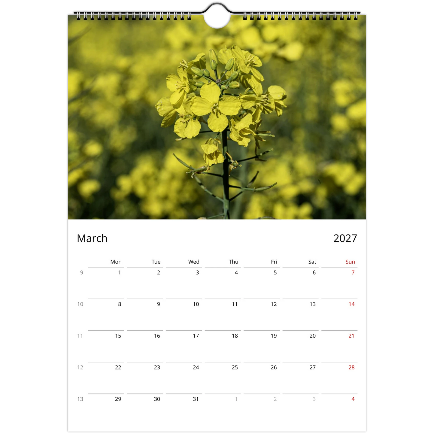 A single-page wall calendar spread showing March 2027 below a large photograph of yellow flowers in a field. The top of the calendar has a hanging hole, and the page is white with black text and red weekday headers.