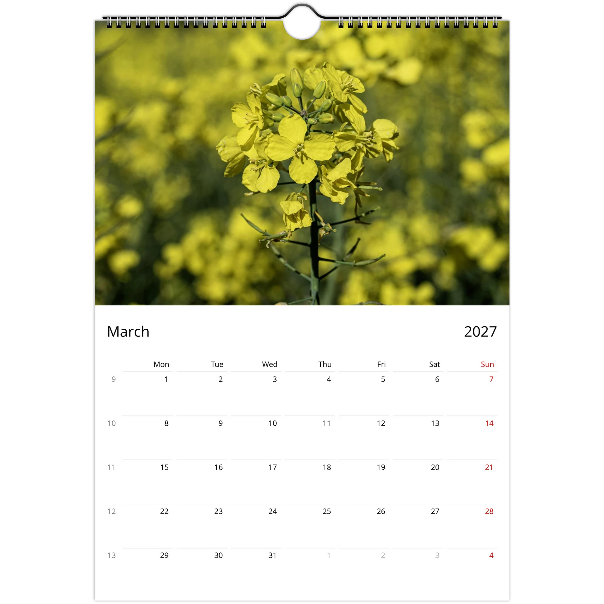 A single-page wall calendar spread showing March 2027 below a large photograph of yellow flowers in a field. The top of the calendar has a hanging hole, and the page is white with black text and red weekday headers.