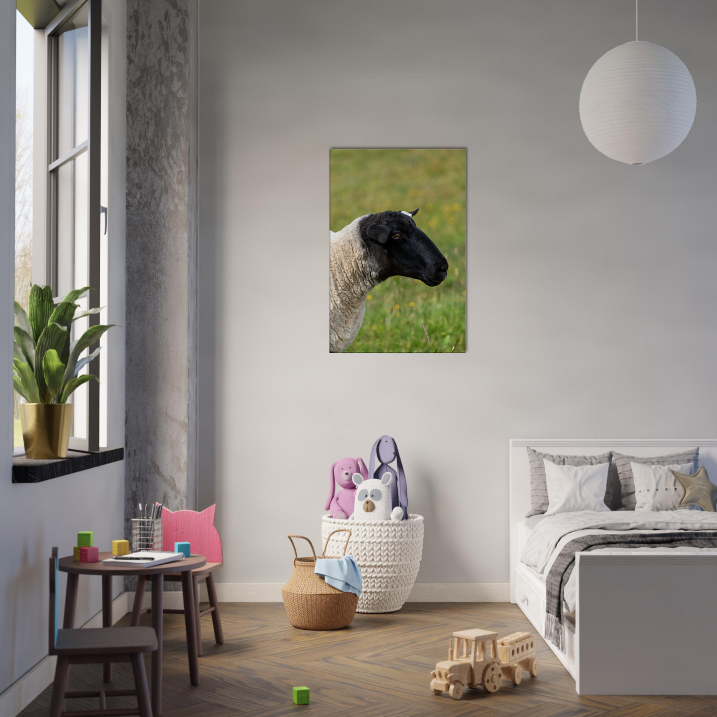 Sheep Domestic Animal Canvas Wall Art Photography, Nursery Print, Nursery Animal Wall Decor, Kids Room, Prints, Stretched canvas by Istvan Maar Photography 08