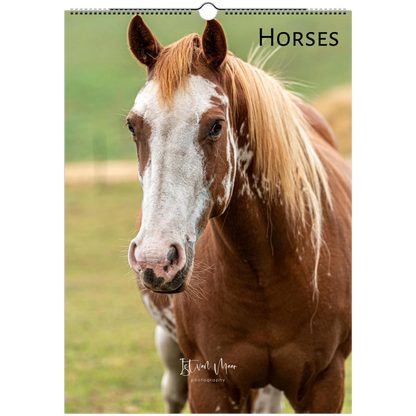 Horses Wall Calendar – front cover featuring horse photography by Istvan Maar available in A4, A3, LT and LG US sizes.