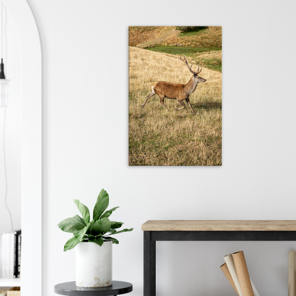 	
Deer Wildlife Animals Art Nursery Photography Wall Decor Kids Room Poster Playroom Artwork Stag Stretched Canvas 216