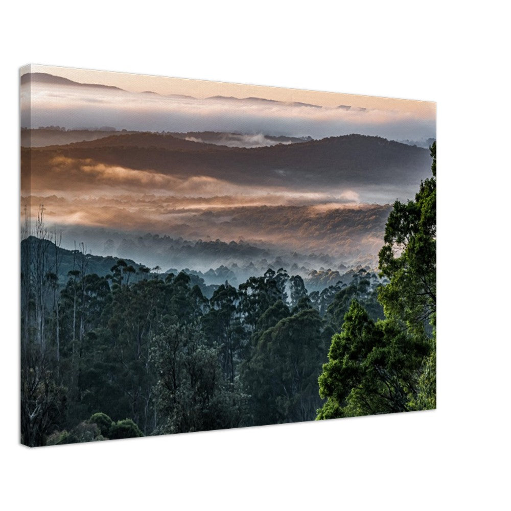 Misty Mountain Ash Foggy Forest Stretched Canvas by www.istvanmaar.photography