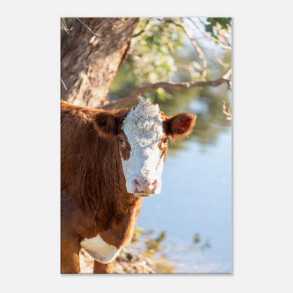 Cow Domestic Animal Canvas Wall Art Photography, Nursery Print, Nursery Animal Wall Decor, Kids Room, Prints, Stretched canvas by Istvan Maar Photography mockup 01