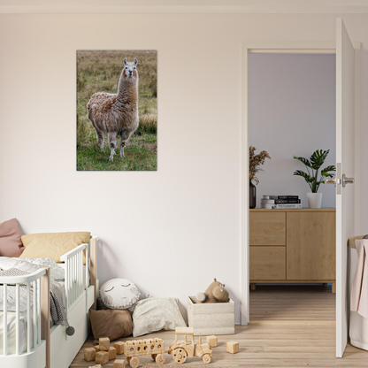 Llama Domestic Farm Animal Canvas Wall Art Photography, Nursery Print, Nursery Animal Wall Decor, Kids Room, Prints, Stretched canvas by Istvan Maar Photography mockup 05