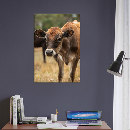 Cute calf Domestic Animal Canvas Wall Art Photography, Nursery Print, Nursery Animal Wall Decor, Kids Room, Prints, Stretched canvas by Istvan Maar Photography mockup 62