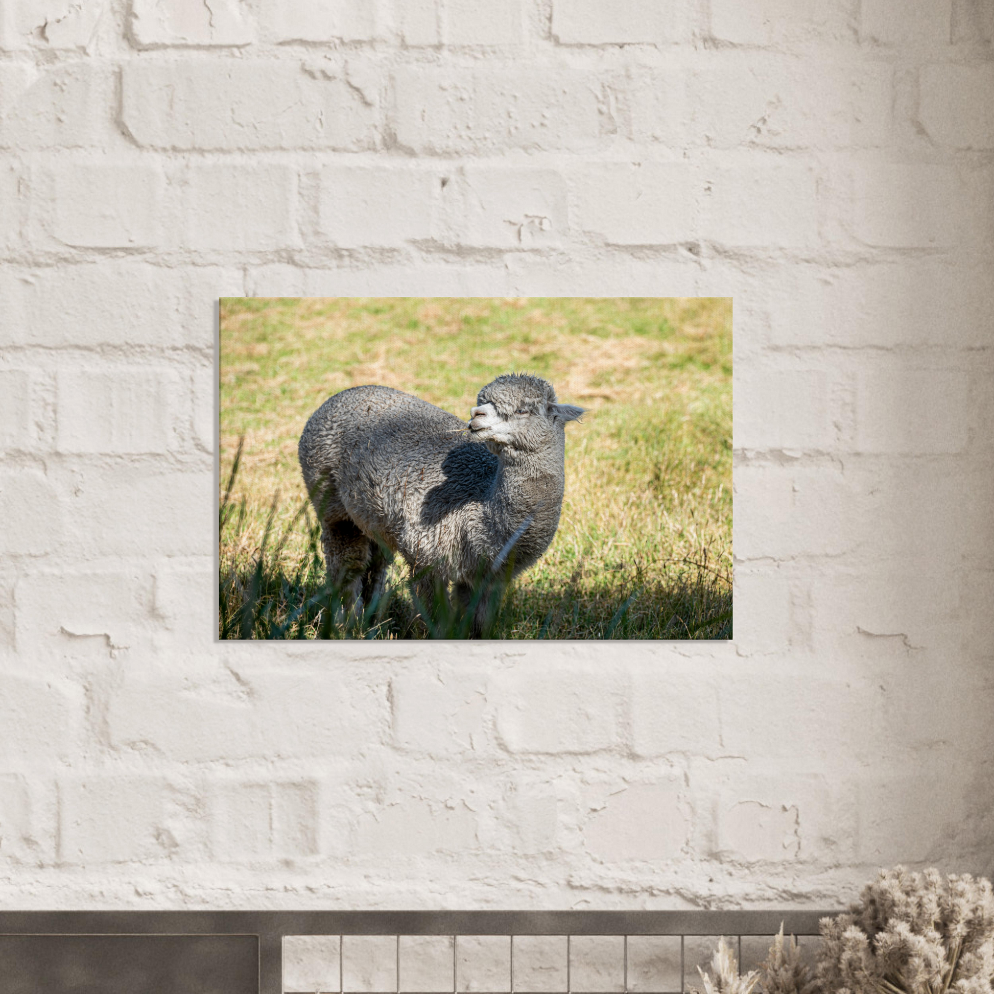 Domestic Farm Animal Canvas Wall Art Photography, Nursery Print, Nursery Animal Wall Decor, Kids Room, Prints, Stretched canvas by Istvan Maar Photography mockup 06