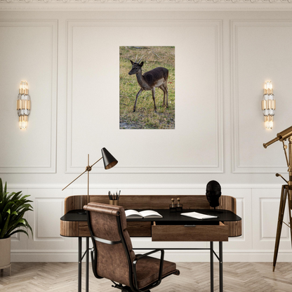 	
Deer Wildlife Animals Art Nursery Photography Wall Decor Kids Room Poster Playroom Artwork Stag Stretched Canvas 032