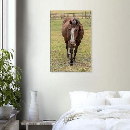 Nursery Wall art Canvas Horse Domestic Animal by Istvan Maar Photography