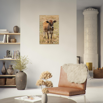 Cute calf Domestic Animal Canvas Wall Art Photography, Nursery Print, Nursery Animal Wall Decor, Kids Room, Prints, Stretched canvas by Istvan Maar Photography mockup 50